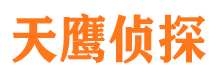 陆良侦探公司